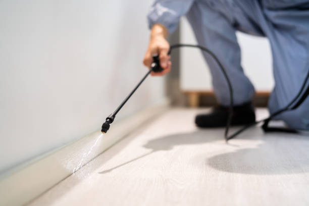 Licensed Pest Control service in Suncoast Estates, FL - Show Me Pest Control
