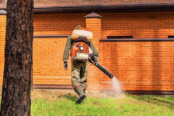 Bed Bug Clearance Verification and Documentation in Suncoast Estates